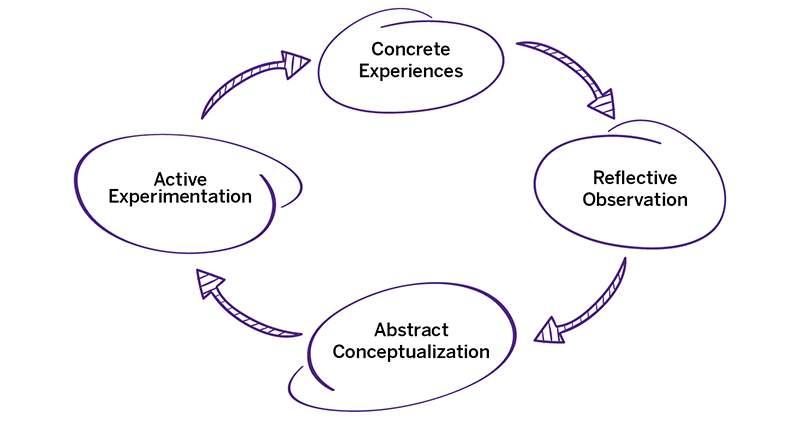 Experiential Learning Cycle of concrete experiences, reflective observation, abstract conceptualization, and active experimentation
